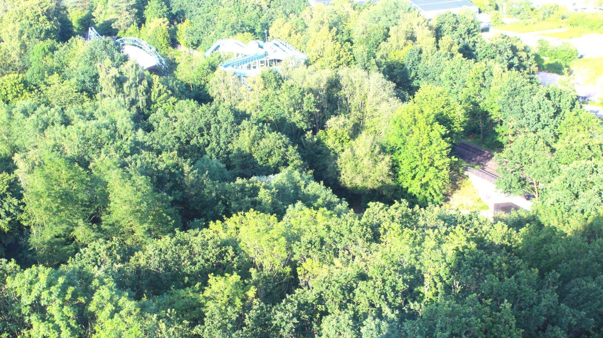 Zum Wohlfuehlen Ferienwohnung Fuer Max 5 Erwachsene Und 1 Kind, Schwimmbad Vor Der Tuer, Tiere Erlaubt Sierksdorf Exteriér fotografie