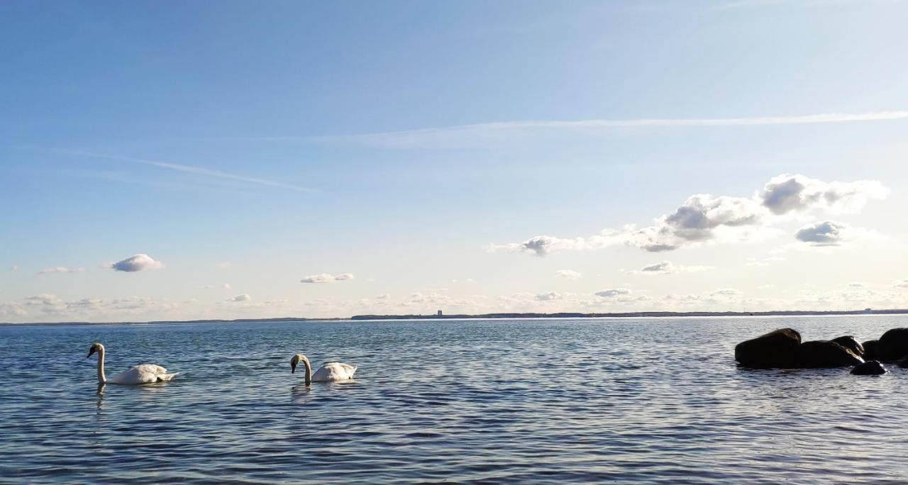 Zum Wohlfuehlen Ferienwohnung Fuer Max 5 Erwachsene Und 1 Kind, Schwimmbad Vor Der Tuer, Tiere Erlaubt Sierksdorf Exteriér fotografie